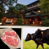 Trải nghiệm nghỉ dưỡng và ẩm thực cao cấp ở Khách sạn Nara và Nhà hàng Kikusuiro